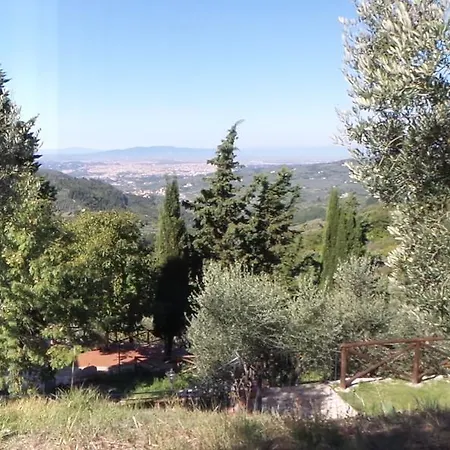 Apartment Oasi Al Sasso *